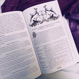 The Nameless One Companion Grimoire (BOOK ONLY)