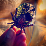 Jeepers Creepers Electroformed Bug Necklaces - 2021 Release